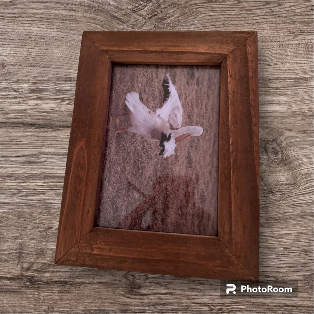 Wood frames
